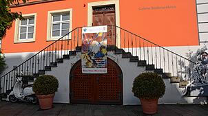 Das Rote Haus ist an die Galerie Bodenseekreis vermietet. Die Narrenzunft Schnabelgiere würde den Keller, dessen Eingang hier zwischen ...