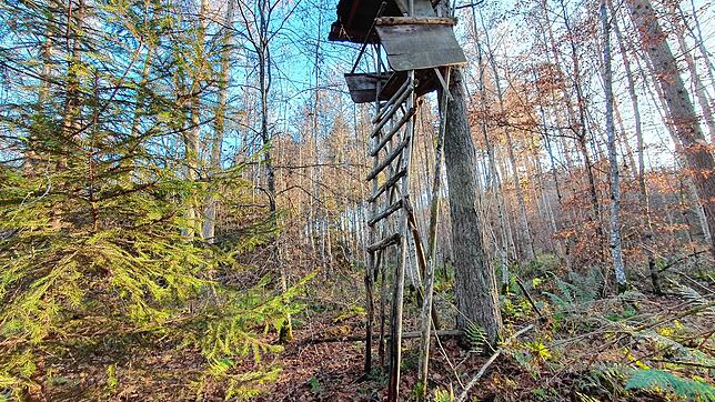 Dieser teils verfallene Hochsitz stand wenige Meter von der Hütte entfernt, in der ein toter Mann gefunden wurde.