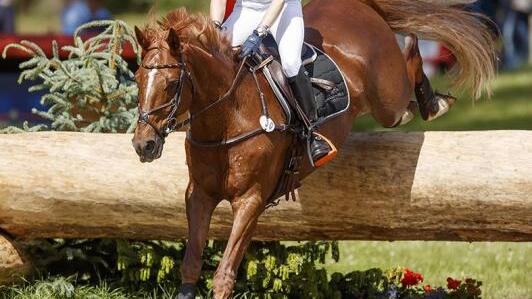 Sandra Auffahrt kommt mit Opgun Louvo zum Turnier nach Donaueschingen. Bild: www.sportfotos-lafrentz.de