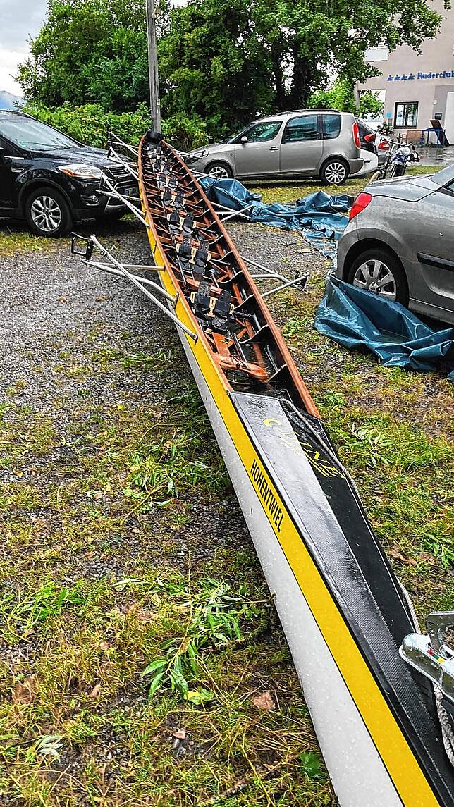 Bild 12: Umgestürzte Bäume sorgen für viel Arbeit für alle: Die Bilder nach dem Unwetter aus Radolfzell