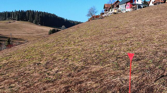 Im Bereich des neuen Baugebiets im Unterkirnacher Marbental sind auf dieser Aufnahme aus dem Februar neben den Markierungen für die ...