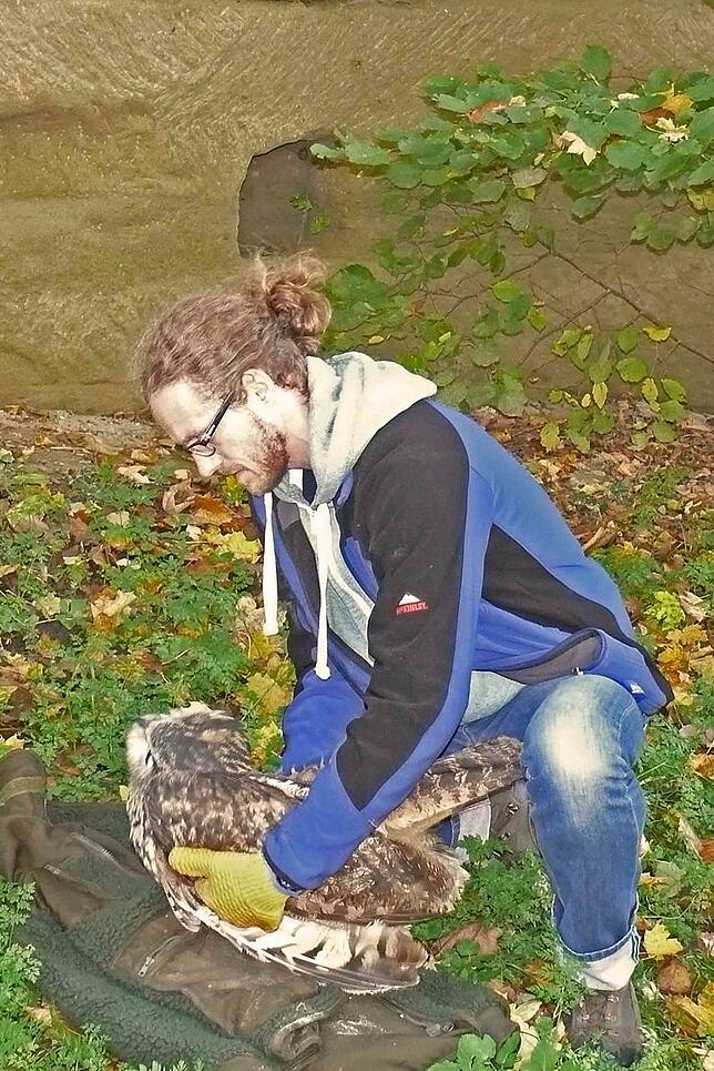 Bild 15: Seit zehn Jahren gibt es in Überlingen Uhu-Nachwuchs: Hier die ganze Uhu-Story in Bildern