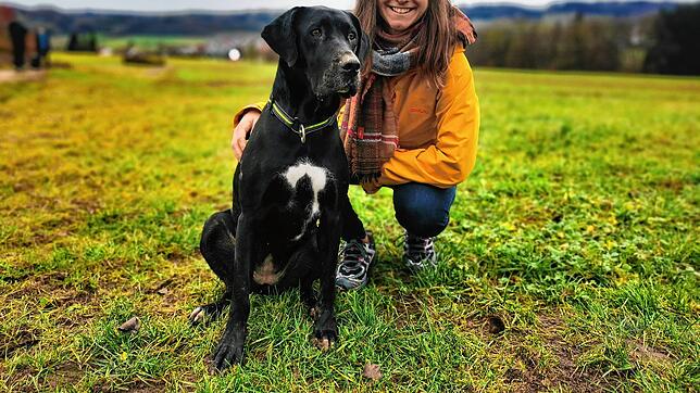 Wenn Schulhund Mica mit Madeleine Schöllhorn nicht gerade in der Schule ist, sind die beiden auch auf Spaziergängen im Grünen unterwegs.