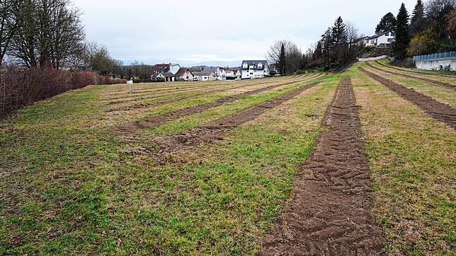 Auf der 1,6 Hektar großen grünen Wiese an der Teuringer Straße soll das Neubaugebiet Ittenhausen Nord entstehen.