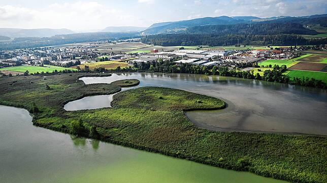 Der Klingnauer Stausee mit dem verlandeten Seitenarm (Archivbild 2021).