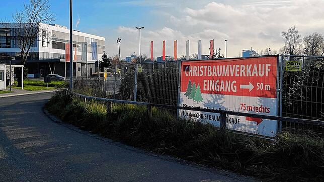 Der Christbaumverkauf an der Reichenaustraße schräg gegenüber dem Bodenseeforum. Er wurde am Wochenende Opfer von Dieben.