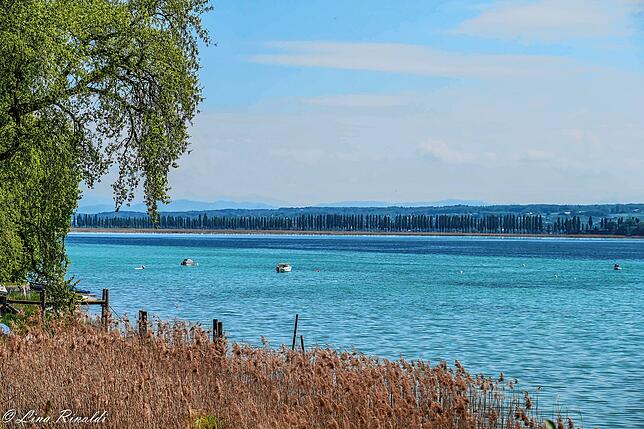 Von weitem zu erkennen: Der von Pappelreihen gesäumte Inseldamm, der die Reichenau mit dem Festland verbindet. Das Wollmatinger Ried, ...
