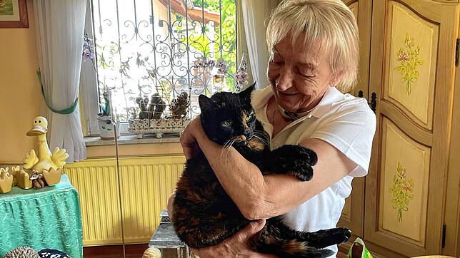 Hier ist Zuwendung dringend notwendig: Eine blinde und taube, ausgesetzte Katze, die Hannelore Nuß vor etwa fünf Monaten gerettet hat.