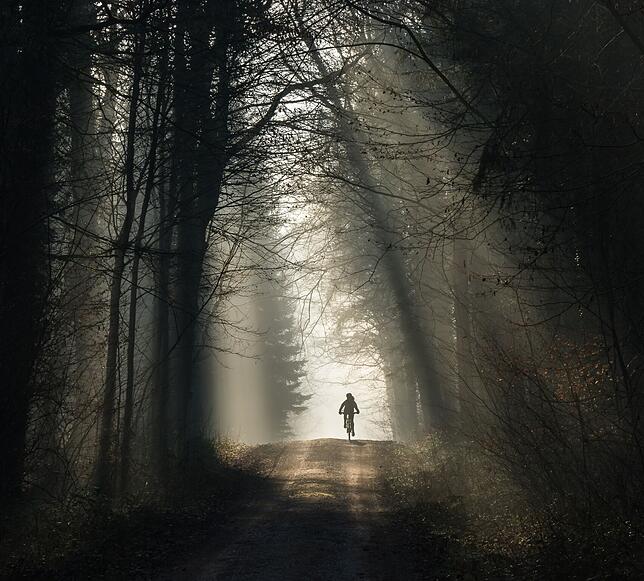 Fahrradfahrer im Nebel: Genau im richtigen Moment im Wald bei Gailingen fotografiert.