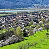 Dogern wollte lieber zu Albbruck gehören als zu Waldshut.