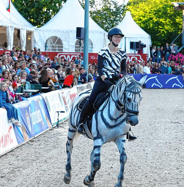 Bild 8: So spektakulär war der Showabend beim Fest der Pferde