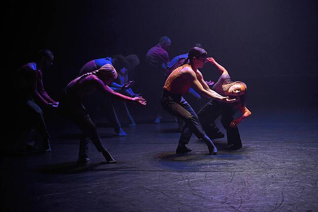 Professionelle Tänzer aus der ganzen Welt versprechen am 20. Januar ein ausdrucksstarkes Tanzerlebnis im Theater am Ring in Villingen.