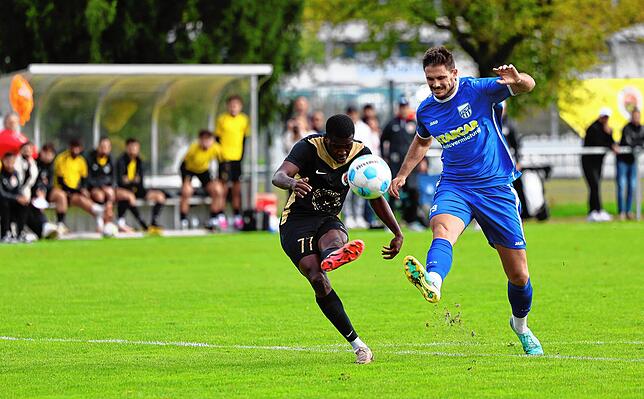 Bild 25: Unsere große Bildergalerie vom 8:1-Sieg des TSV Singen in der Verbandsliga gegen den FC Waldkirch