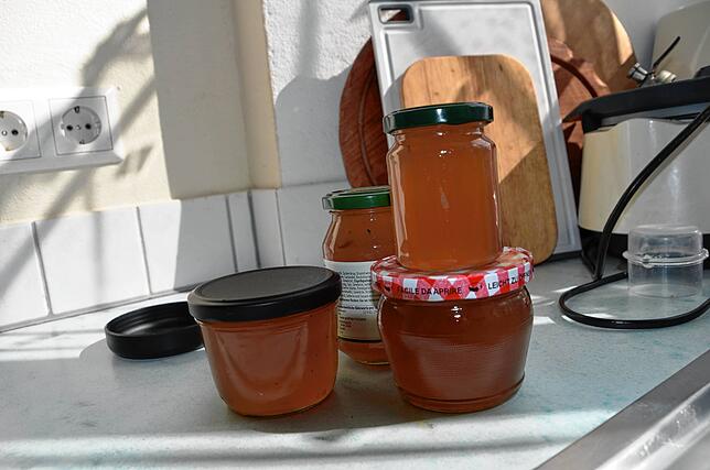 Bild 6: Selbstgemacht: Brennnesseln statt Spinat und Gelee aus Gänseblümchen