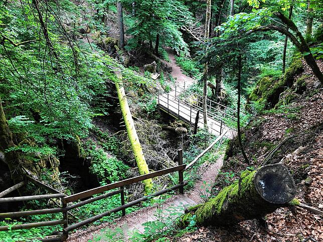 Bild 7: Wandern vor der Haustür (Teil 5): Von Indlekofen zum Haselbach-Wasserfall