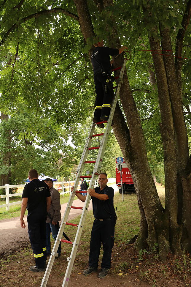Bild 19: Bilder von der Freiwilligen-Arbeit der Feuerwehr beim Marathon der Gespannfahrer