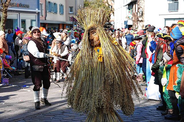 Bild 3: Fastnachtsumzug Radolfzell 2025: Alle Bilder vom farbenfrohen Spektakel