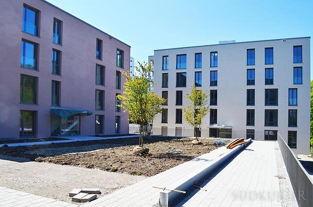 Bauvorhaben Hockgraben