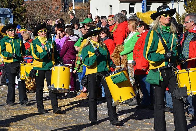 Bild 31: Bilder vom Narrentreffen der Urviecher-Zunft Bad Dürrheim: Großer Festumzug (3)