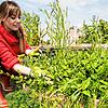 Man könnte immer weiterkämpfen &ndash; oder Unkraut bewusst im eigenen Garten einbinden und seine Vorzüge genießen.