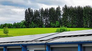Auf dieser Wiese, oberhalb der Firma, von der das Firmendach zu sehen ist, plant der Unternehmer eine freiflächen-Photovoltaikanlage zu ...