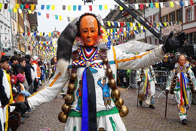 Bild 8: Narren, Kostüme und Stimmung: Die Highlights des Narrentreffens in Waldshut in Bildern