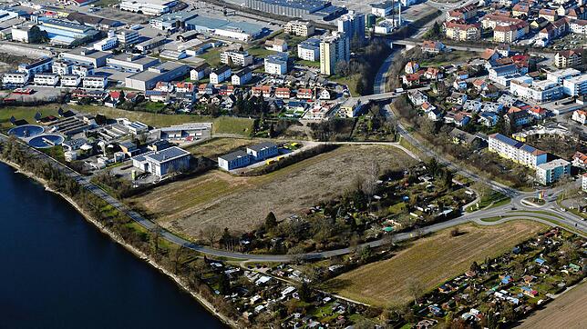 Die Schrebergärten in der Gettnau sollen auf die andere Seite der Rheinuferstraße wechseln. Dort muss aus Gründen des Hochwasserschutzes ...
