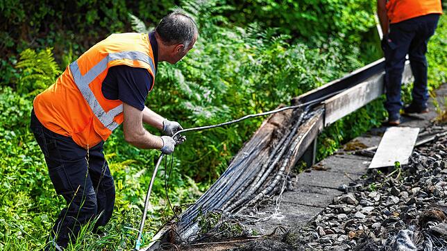 Mitarbeiter der Deutschen Bahn arbeiten an einem Gleisabschnitt in Düsseldorf. Dort wurde neben der Bahnstrecke Feuer in einem ...