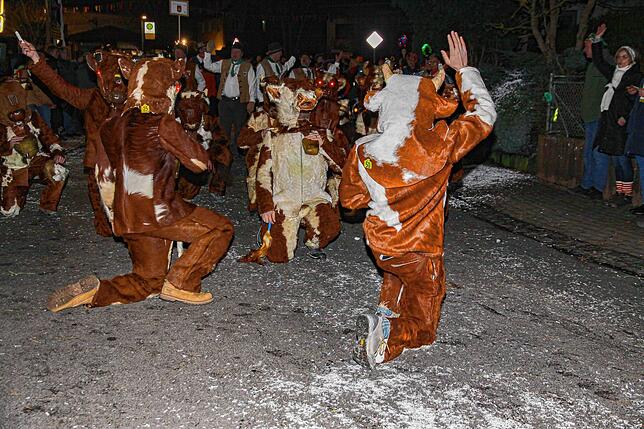 Bild 18: 41 Jahre Heuliecher aus Heudorf: Jubiläum mit Nachtumzug - Die schönsten Bilder!
