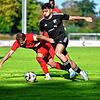 Bild :