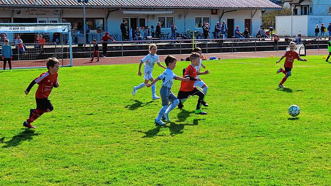Für die Kinder der F-Jugend zahlreicher Vereine in der Region war der Samstag ein toller Start im Frankenmatt-Stadion in die ...