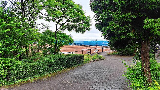 Bild 9: Unwetter am Bodensee: Die Folgen rund um Markdorf aus