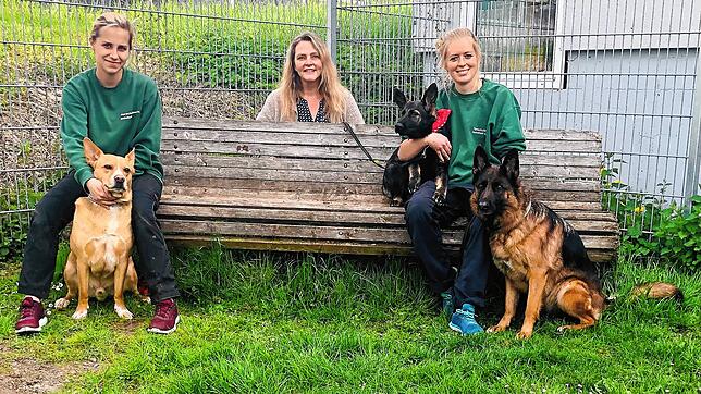 Das Team des Radolfzeller Tierheims: (links) Natascha Kramer mit Paul, (rechts) Tabitha Schmidt mit Breezy und Jacy, beide Damen sind ...