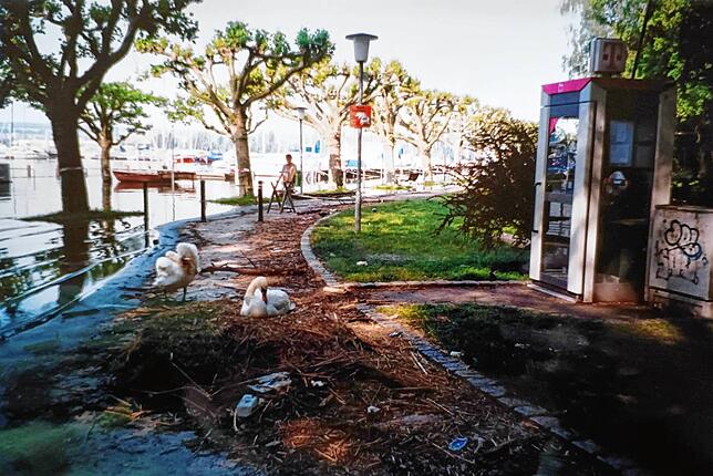 Bild 25: Hochwasser am Bodensee 1999: Diese Leserbilder zeigen das Ausmaß in Konstanz