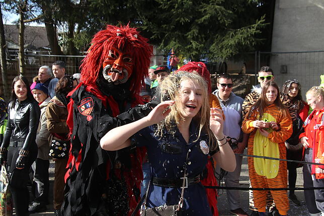 Bild 6: Bilder zum Narrentreffen in Schwerzen (1)
