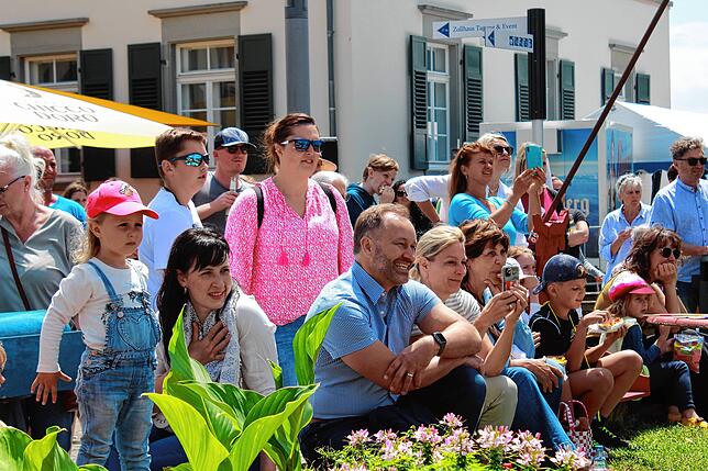 Bild 9: Bilder vom Hafenfest-Sonntag mit Turn-Show, Bürgermeister-Mutprobe und Flohmarkt (1)