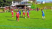 Der neue Spielmodus im Fußballnachwuchs ist erstmalig beim Magnus-Schwitzler Jugendturnier umgesetzt worden. Fußball soll wieder zum ...