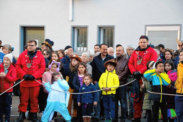 Bild 24: Fasnachts-Auswerfen und Narrenbaumstellen: Bilder des Hochrhein Narrentreffens in Tiengen (Teil 2)