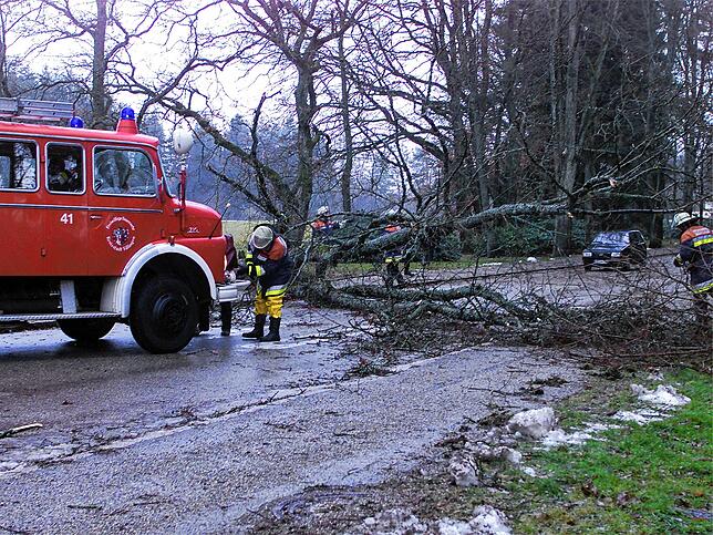 Kein Durchkommen mehr in der Oberen Waldstraße im Villinger Kurgebiet. Feuerwehrleute räumen umgestürzte Bäume aus der Straße.