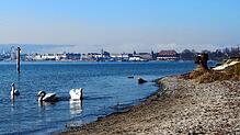 Ufer am Bodensee: Forscher sehen die Natur immer mehr durch Wassersport gefährdet.