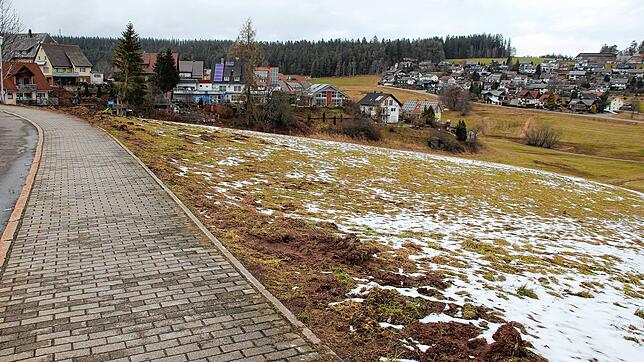 Die Stadt plant ein neues Baugebiet. Hier rechts der Bühlstraße.