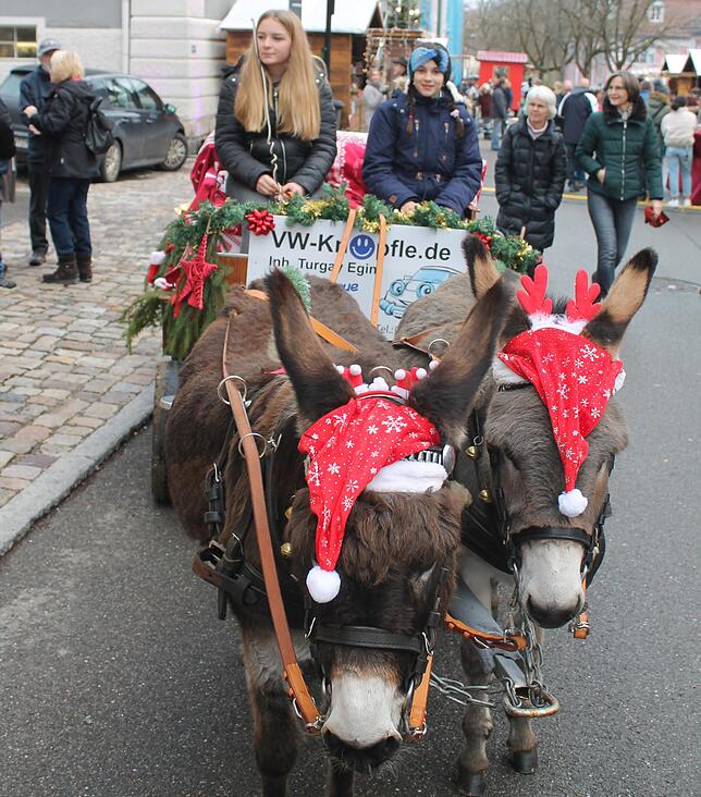 Ihre beiden Esel samt Kutsche hat die Familie Kuttruff vom Ziegelhof zur Verfügung gestellt. Viele Besucher nutzten das Gefährt für ...