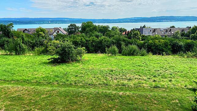 Hier darf vorerst nicht gebaut werden: Anwohner haben erwirkt, dass die Stadt Konstanz die Baugenehmigung für die Wobak am Marienweg in ...