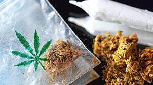 Größere Mengen Cannabis fand die Polizei bei einer Hausdurchsuchung. Vor Gericht gib es nun Streit über die Rechtmäßigkeit des ...