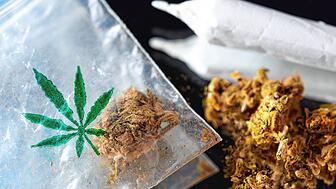 Größere Mengen Cannabis fand die Polizei bei einer Hausdurchsuchung. Vor Gericht gib es nun Streit über die Rechtmäßigkeit des ...
