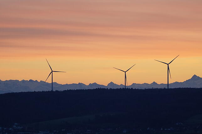 Der Windpark Verenafohren bei Tengen ist der einzige Windpark in der Region. Windkraft-Gegner bezweifeln seine Wirtschaftlichkeit.