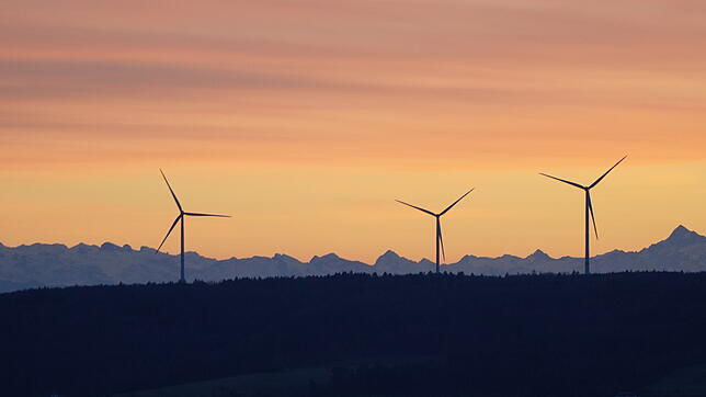 Der Windpark Verenafohren bei Tengen ist der einzige Windpark in der Region. Windkraft-Gegner bezweifeln seine Wirtschaftlichkeit.
