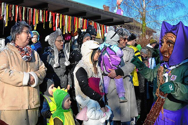 Bild 14: Narrentreffen Albbruck: So viel Spaß macht der große Umzug