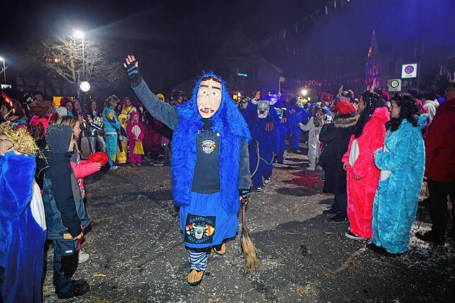 Bild 16: Nachtumzug Möggingen 2025: Fasnacht in Bildern – 30 Gruppen in voller Pracht