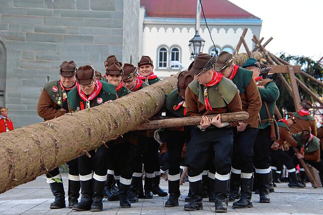 Bild 4: Der Narrenbaum steht! Die schönsten Bilder vom Narrenbaumstellen in Radolfzell
